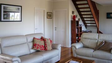 Smart TV, fireplace, DVD player, books