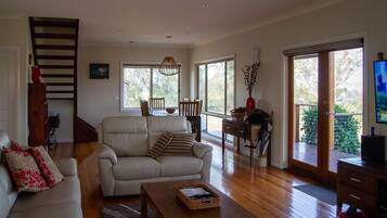 Smart TV, fireplace, DVD player, books