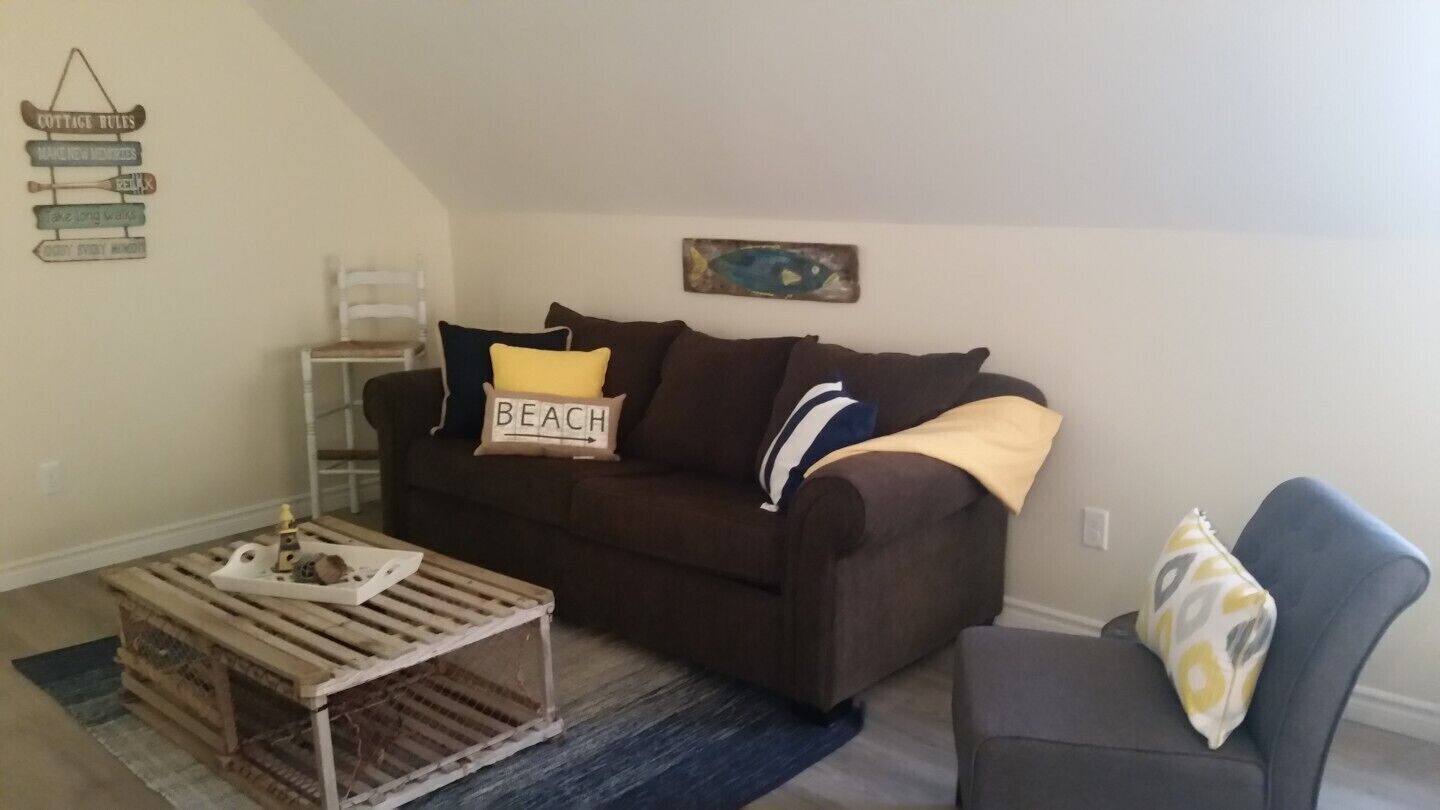 Smart TV, fireplace, DVD player, books