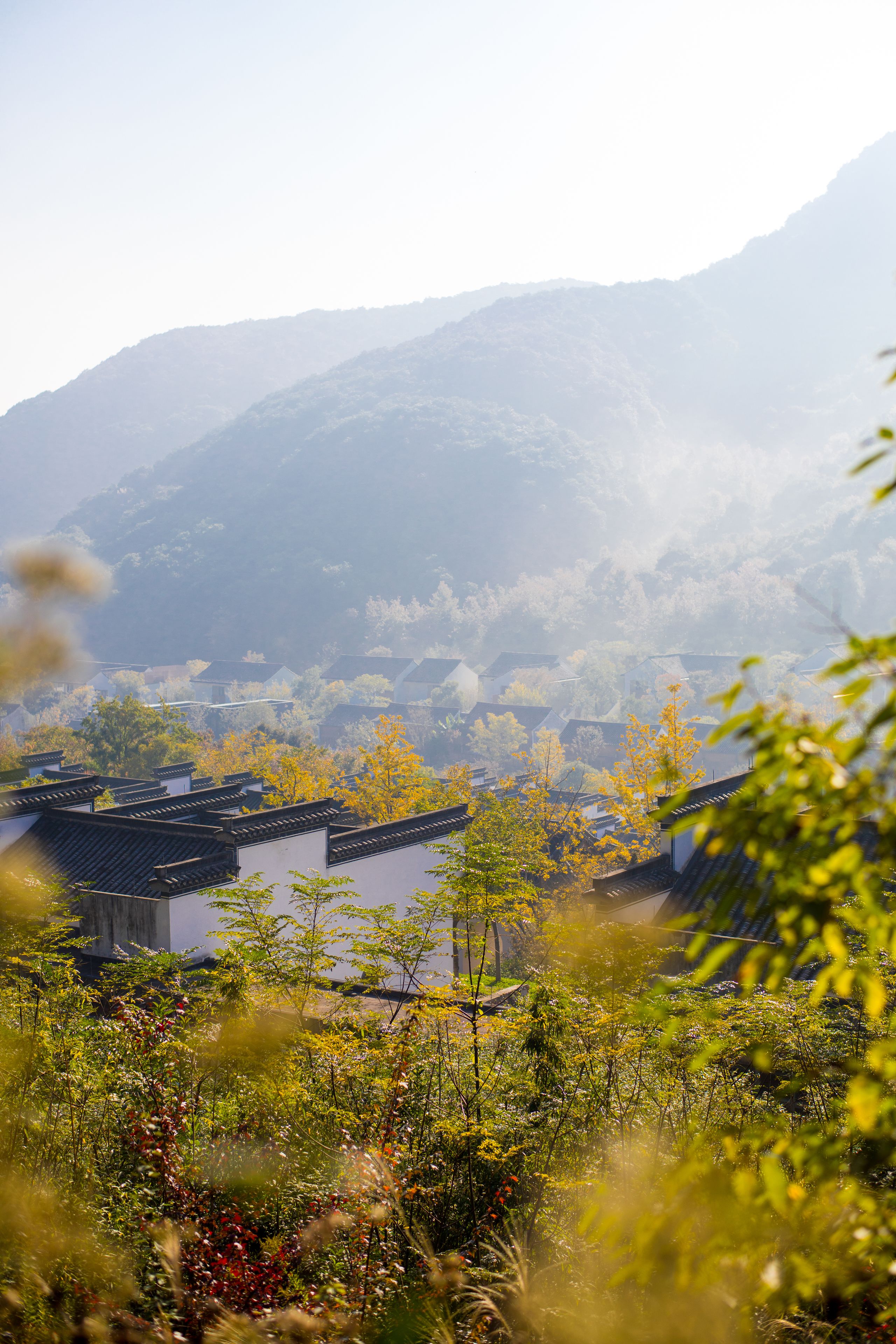 A traditional village with thatched-roof houses, surrounded by lush greenery and mountains in the background.