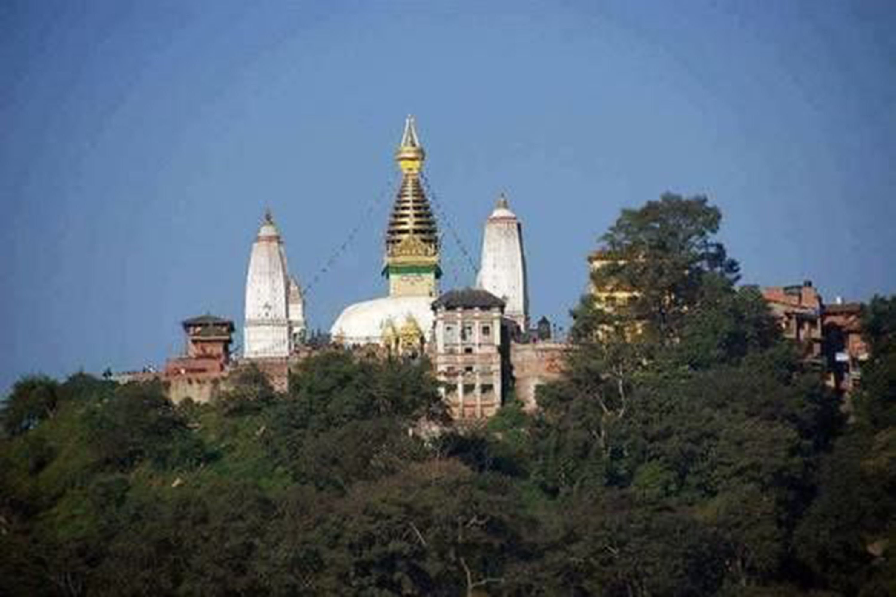 Photo - Monkey Temple Homestay