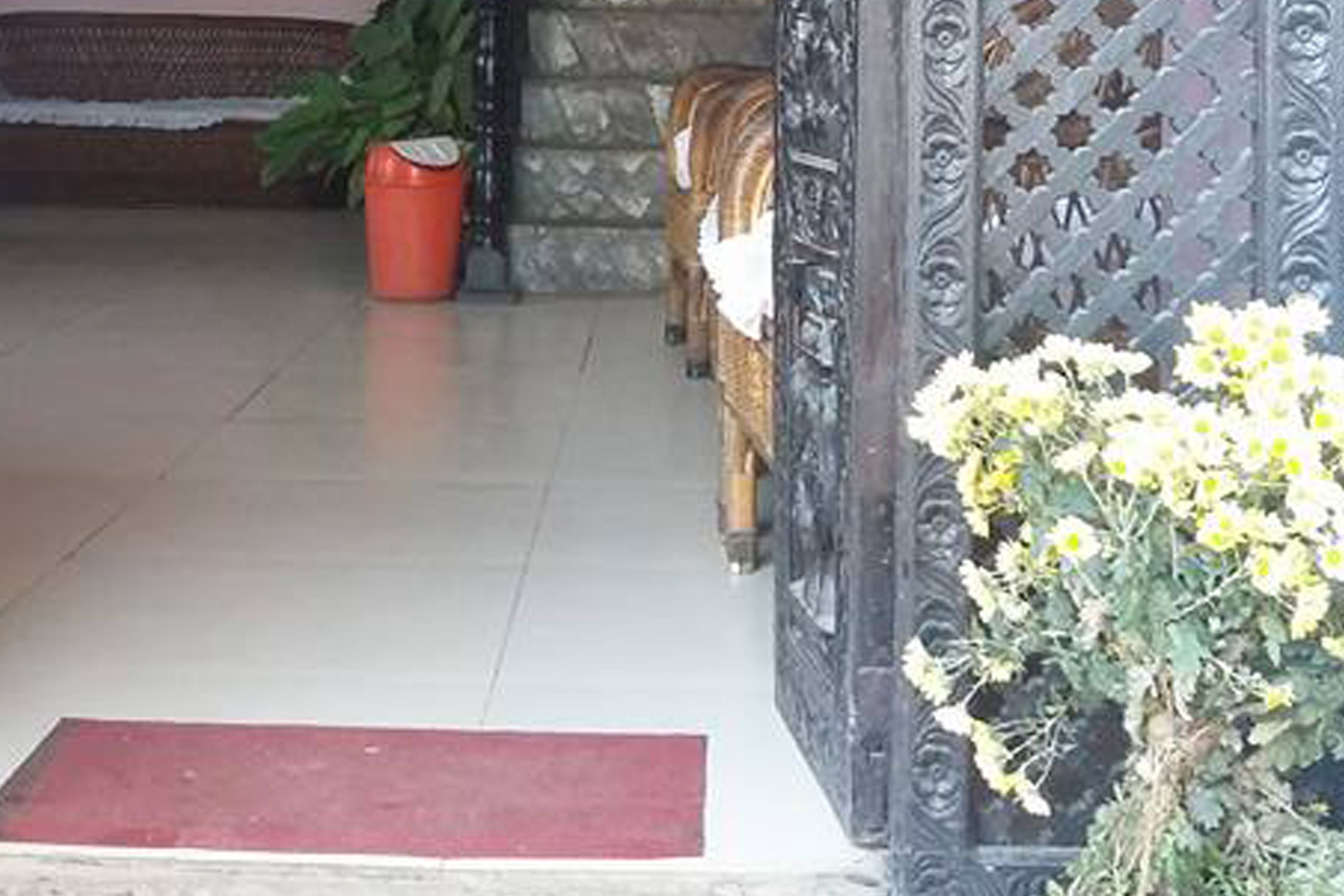 A doorway with a red mat, a potted plant, and a decorative metal gate.