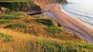 A coastal landscape with a sandy beach, grassy hills, and a clear sky. - Cliff Waters Cottage, Private oceanfront secluded relaxation, Pleasant Bay, NS (Pleasant Bay)
