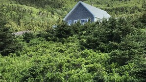 A house surrounded by dense green forest, with a clear sky above. - Cliff Waters Cottage, Private oceanfront secluded relaxation, Pleasant Bay, NS (Pleasant Bay)