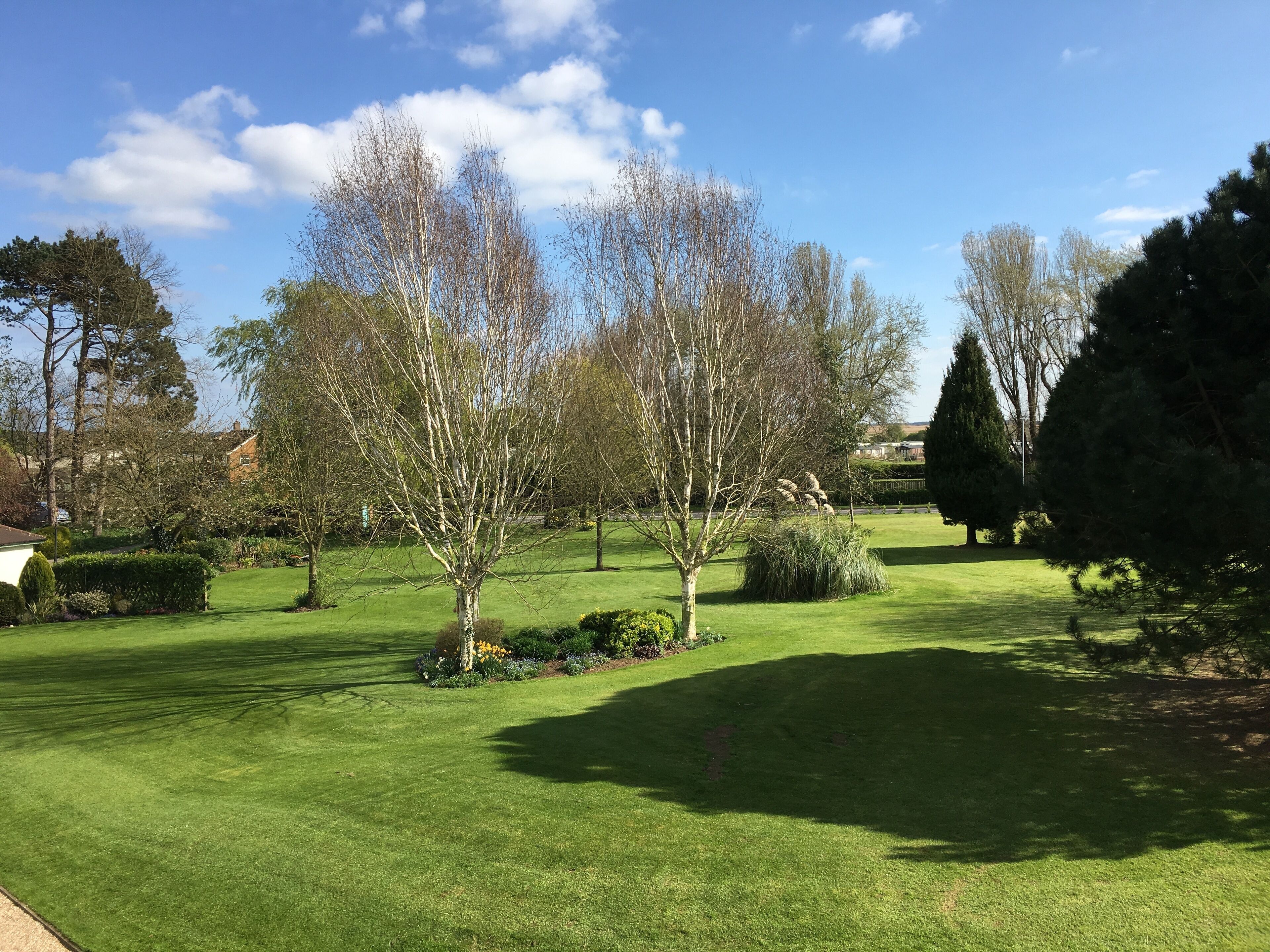 A well-maintained grassy area with trees and shrubs, likely part of a residential or commercial property.