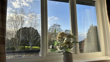 Una ventana con vistas a árboles y un cielo despejado.