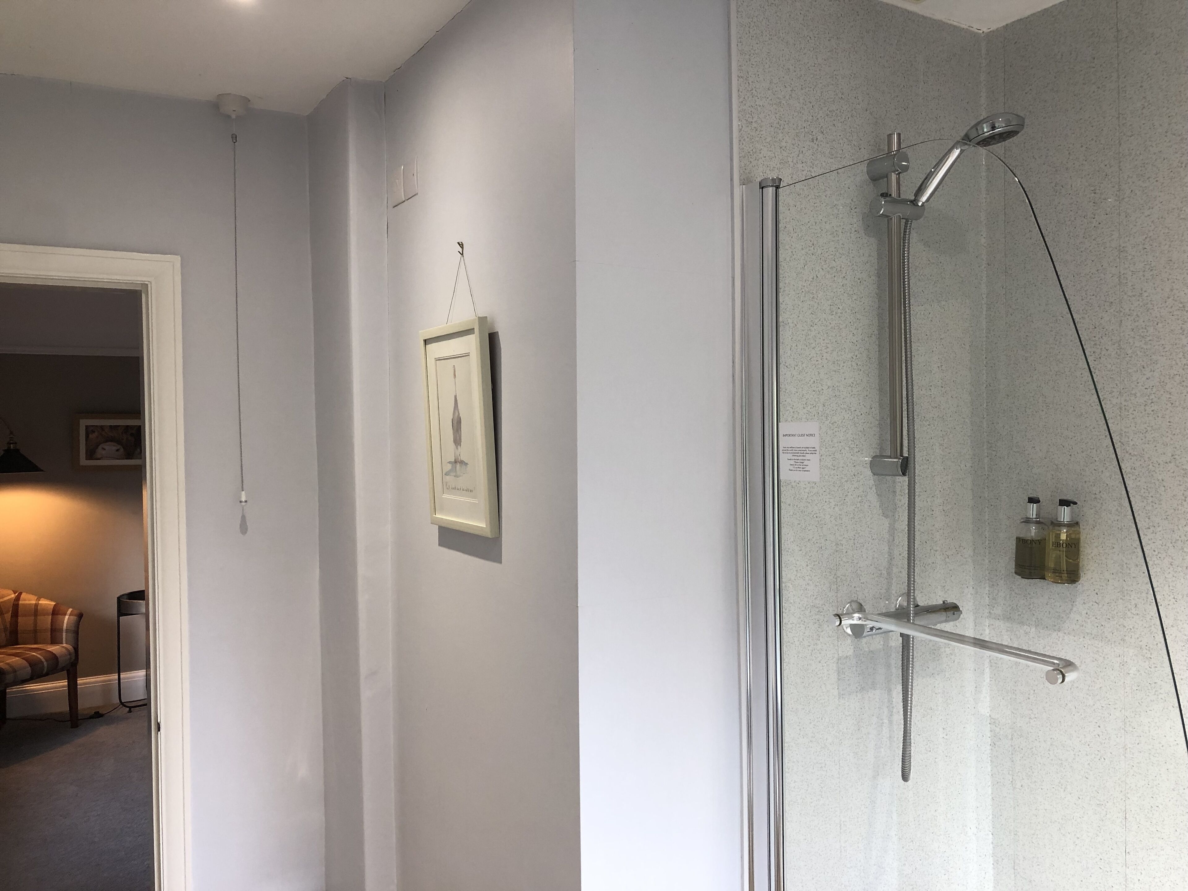 Un baño con ducha, un cuadro en la pared y artículos de aseo colgados en la pared.