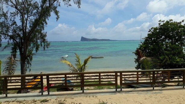 Vista de una playa con valla de madera, palmeras y cielo despejado.