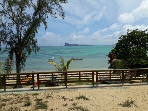 Vista de una playa con valla de madera, palmeras y cielo despejado.