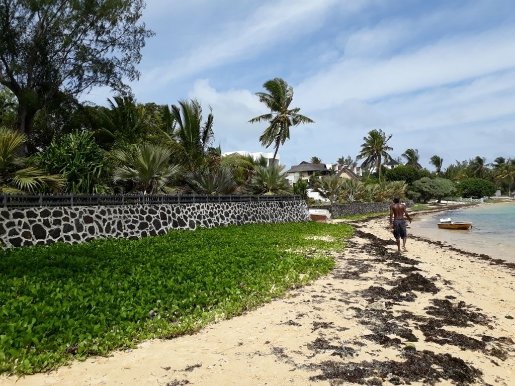 A beach with a person walking, a boat, and a stone wall with greenery.