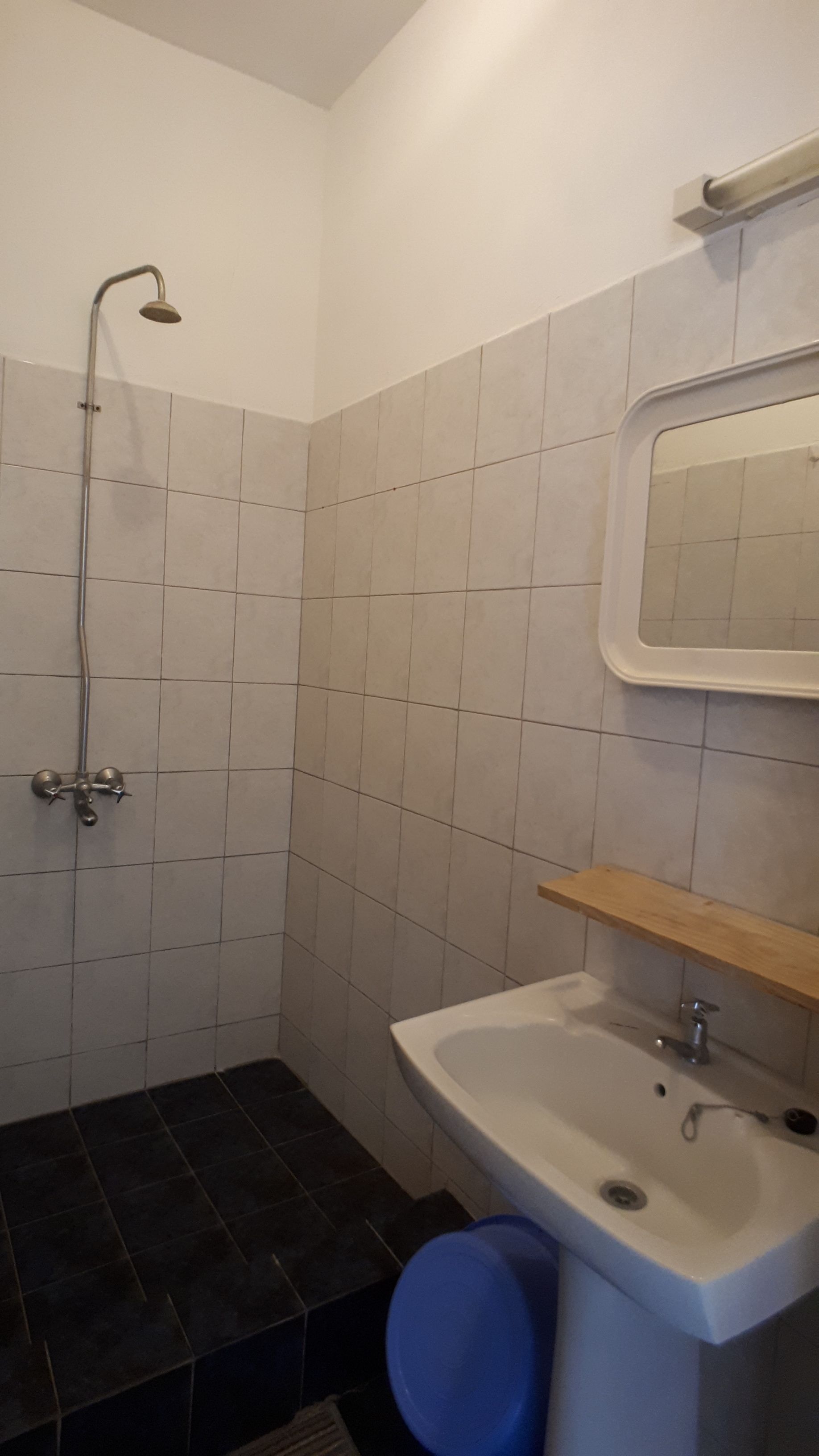 A bathroom with a shower, a sink, and a mirror.