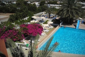 A swimming pool with lounge chairs and a palm tree.