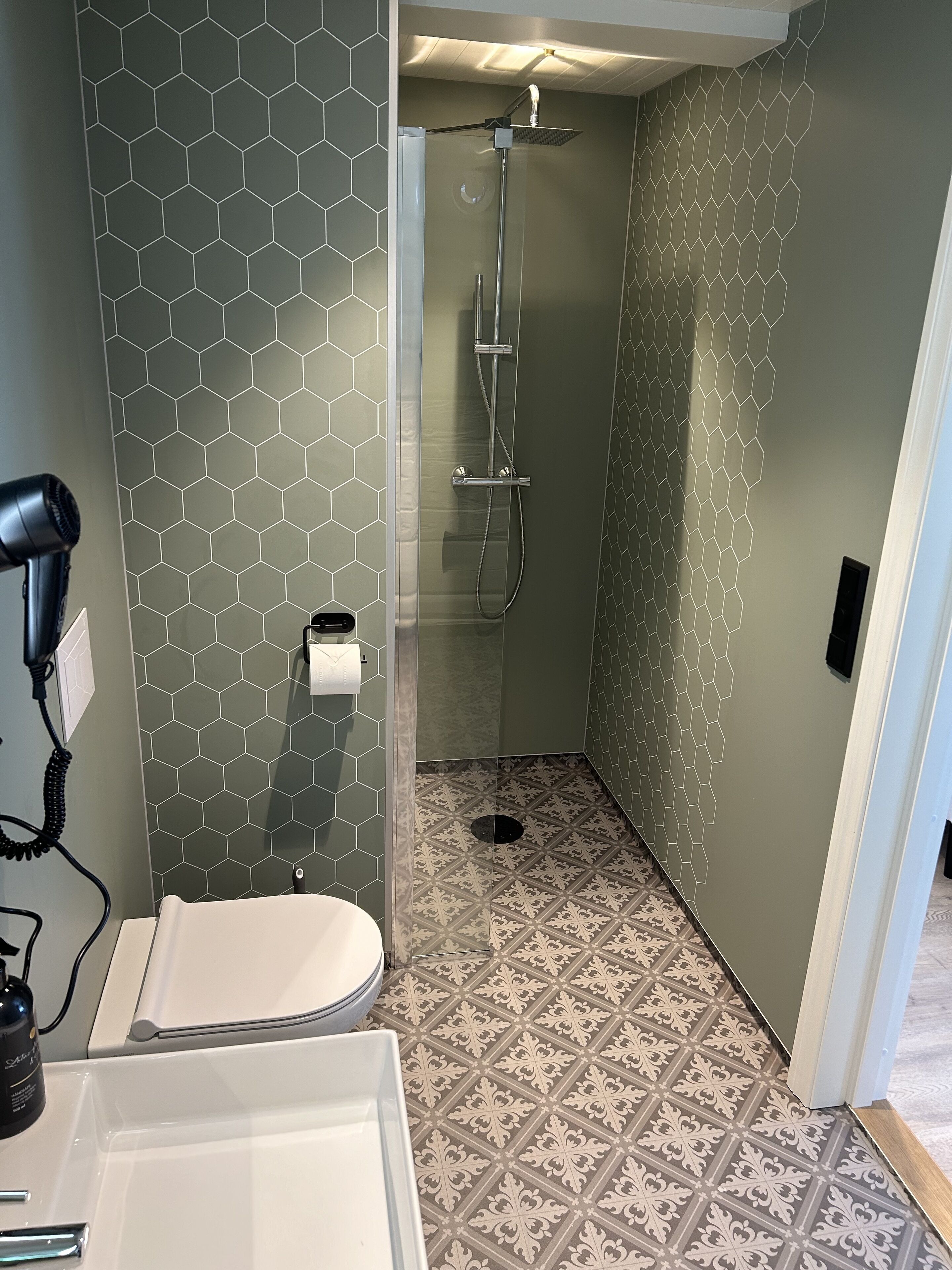 A bathroom with a shower, toilet, and hairdryer.