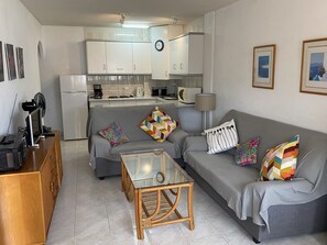 Televisio, DVD-soitin, kirjoja, stereot