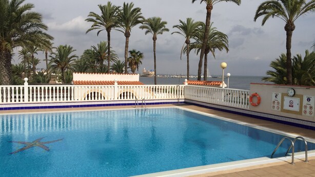 Piscina con decoración de estrella de mar, rodeada de palmeras y una valla blanca.