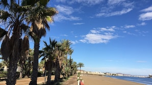 Un paseo marítimo bordeado de palmeras y una playa arenosa.