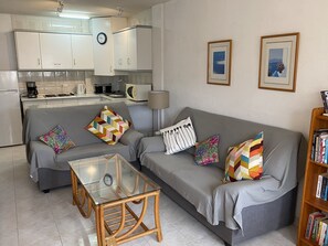 Télévision, lecteur de DVD, livres, chaßne hi-fi