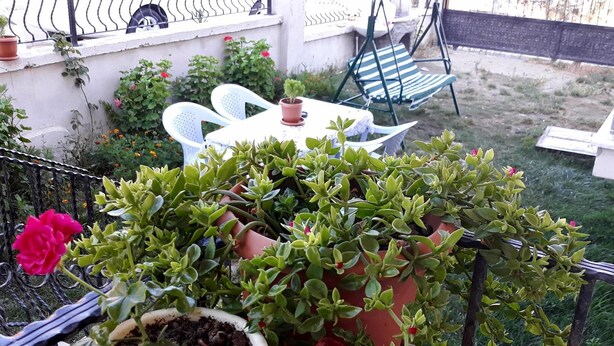 المنطقة المحيطة بالمنشأة