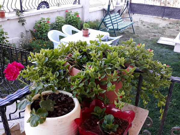 Property grounds - Cerit Pansiyon (Gökçeada)