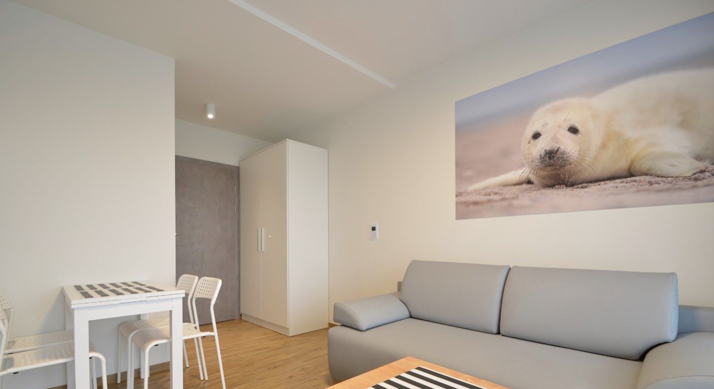 Loft (Olandia) | Living area | Flat-screen TV