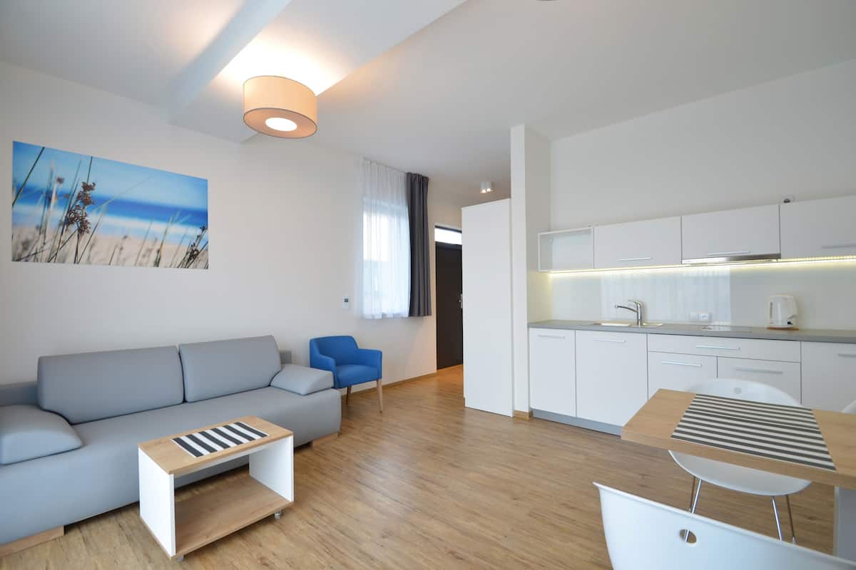 Appartement Premium (Hiuma) | Coin séjour | Télévision à écran plat
