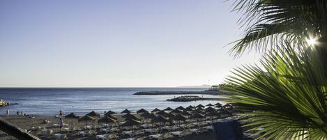 A beach with rows of sun loungers and umbrellas, a palm tree, and the ocean.