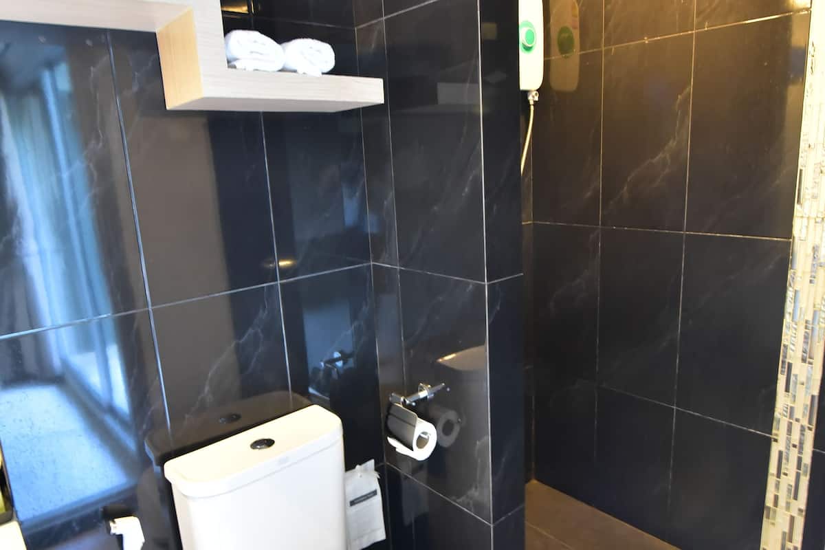 shower, free toiletries, hair dryer, towels