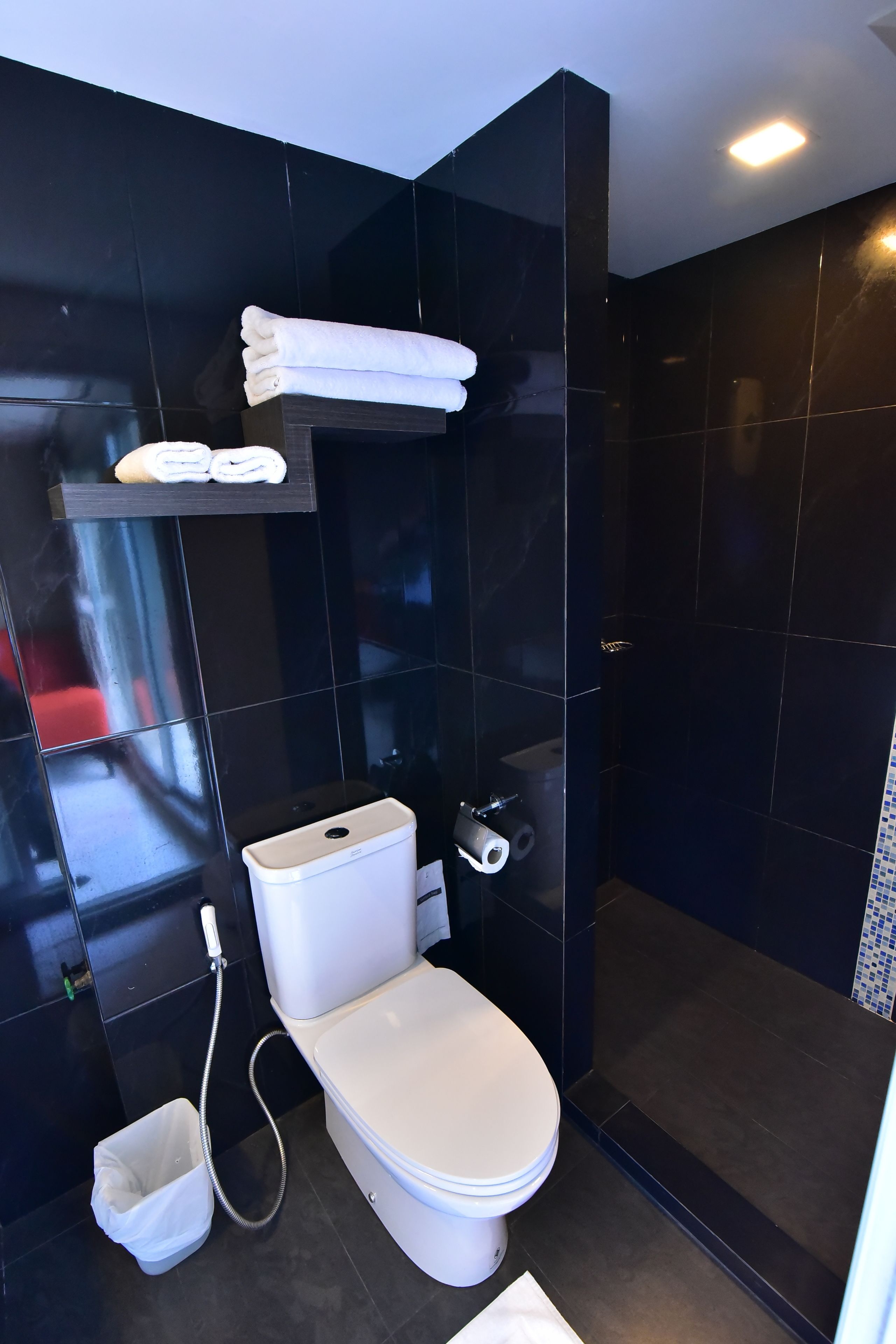 standard twin room | bathroom | shower, free toiletries, hair dryer, towels