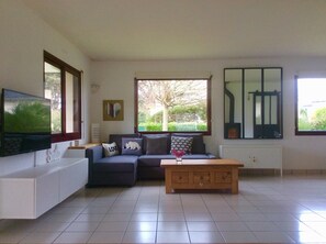 TV, fireplace, DVD player, books