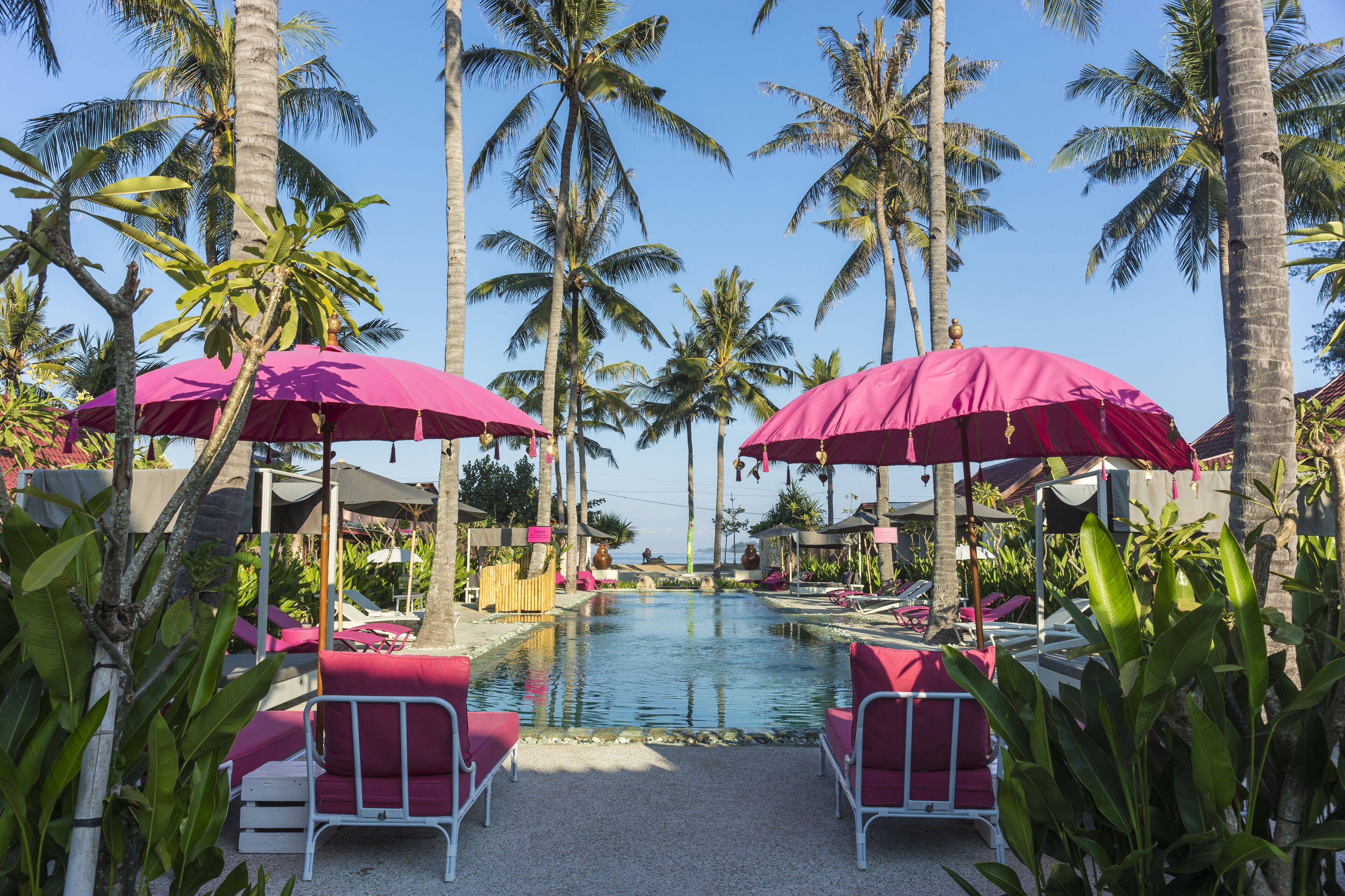 Outdoor pool, pool umbrellas, sun loungers