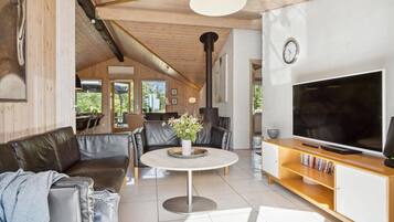 Télévision, cheminée, lecteur de DVD