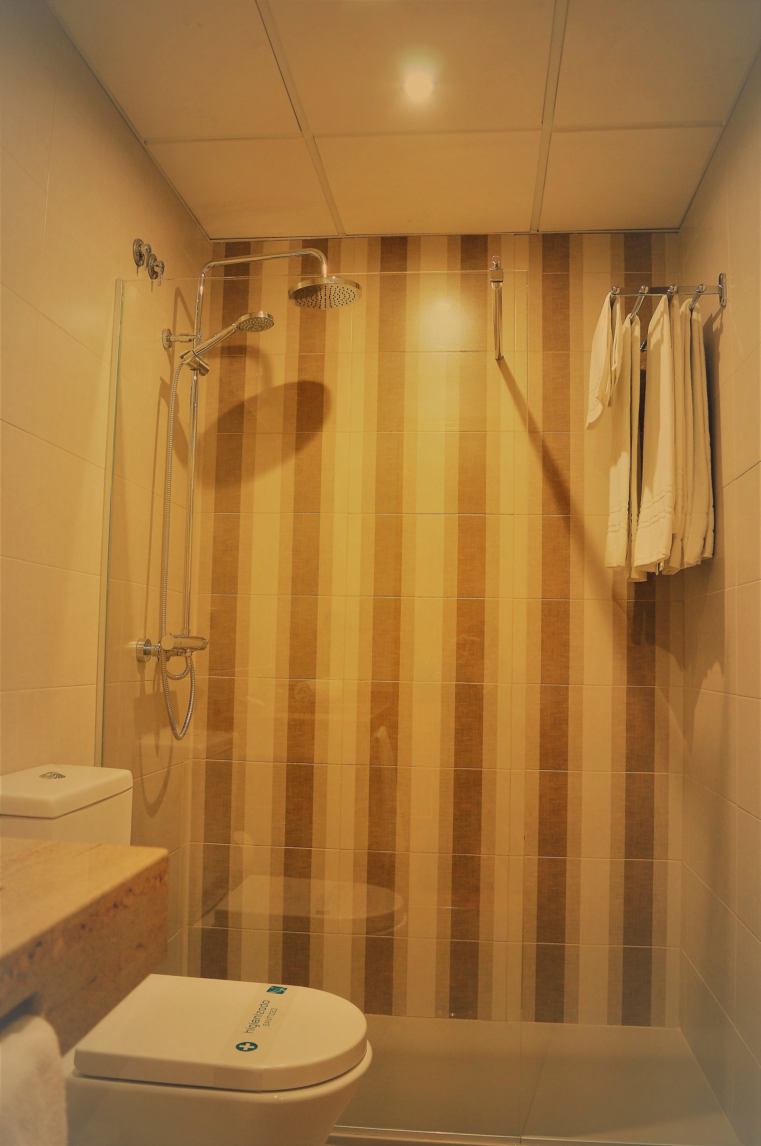 Un baño con ducha, inodoro y toallero.