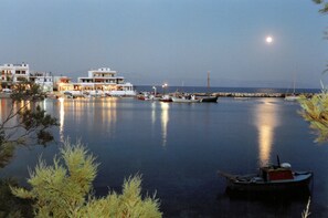 Vista desde la propiedad