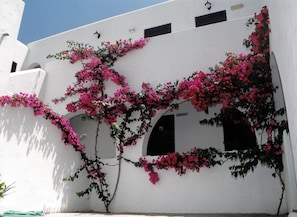 Property amenity - San Antonio Summer House (Paros)