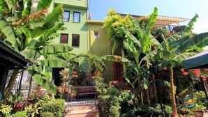 Garden - Emin Butik Otel Amasra (Amasra)