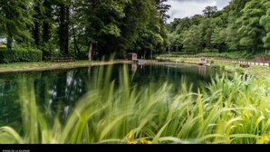 A tranquil outdoor setting with a pond, lush greenery, and a wooden structure. - Camping la kilienne (Warlincourt-lès-Pas)