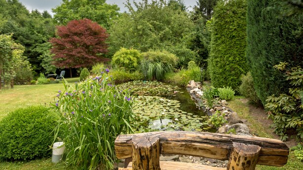 A garden with a pond, various plants, and a wooden bench. - Ferienhaus Domblick Herkenrath (Bergisch Gladbach)