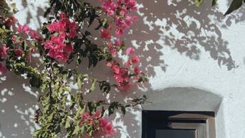 Una ventana pequeña con marco oscuro, empotrada en una pared blanca.