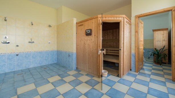 A bathroom with a checkered floor, wooden sauna, and a tiled shower area. - Ostsee-Landhaus (Bastorf)
