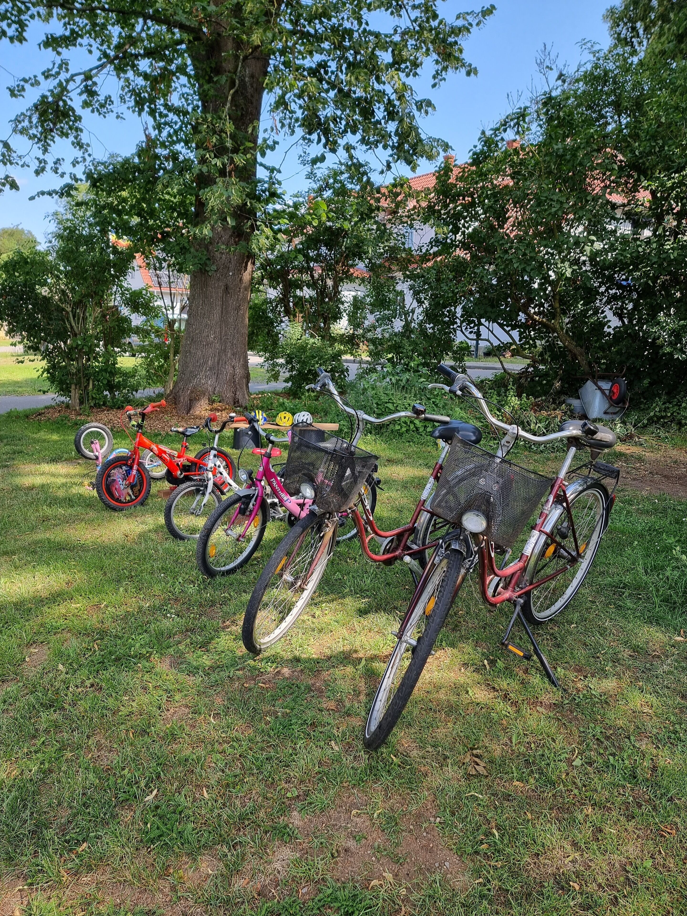A row of bicycles parked on a grassy area with trees and a building in the background.