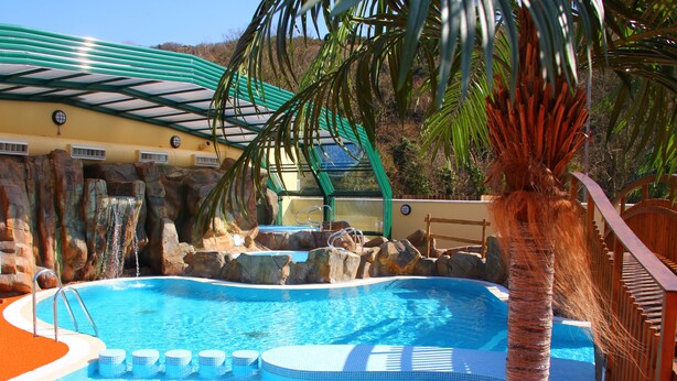 A swimming pool with a palm tree, a waterfall feature, and a covered area with a green roof. - Cardigan Bay Holiday Park (Cardigan)