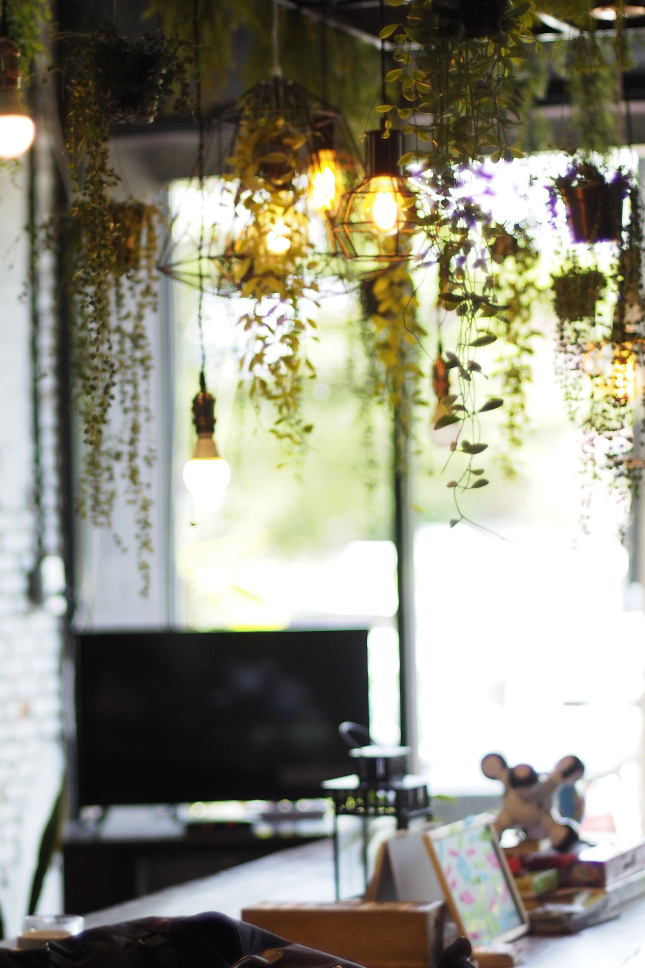 Photo - La Malila Hostel