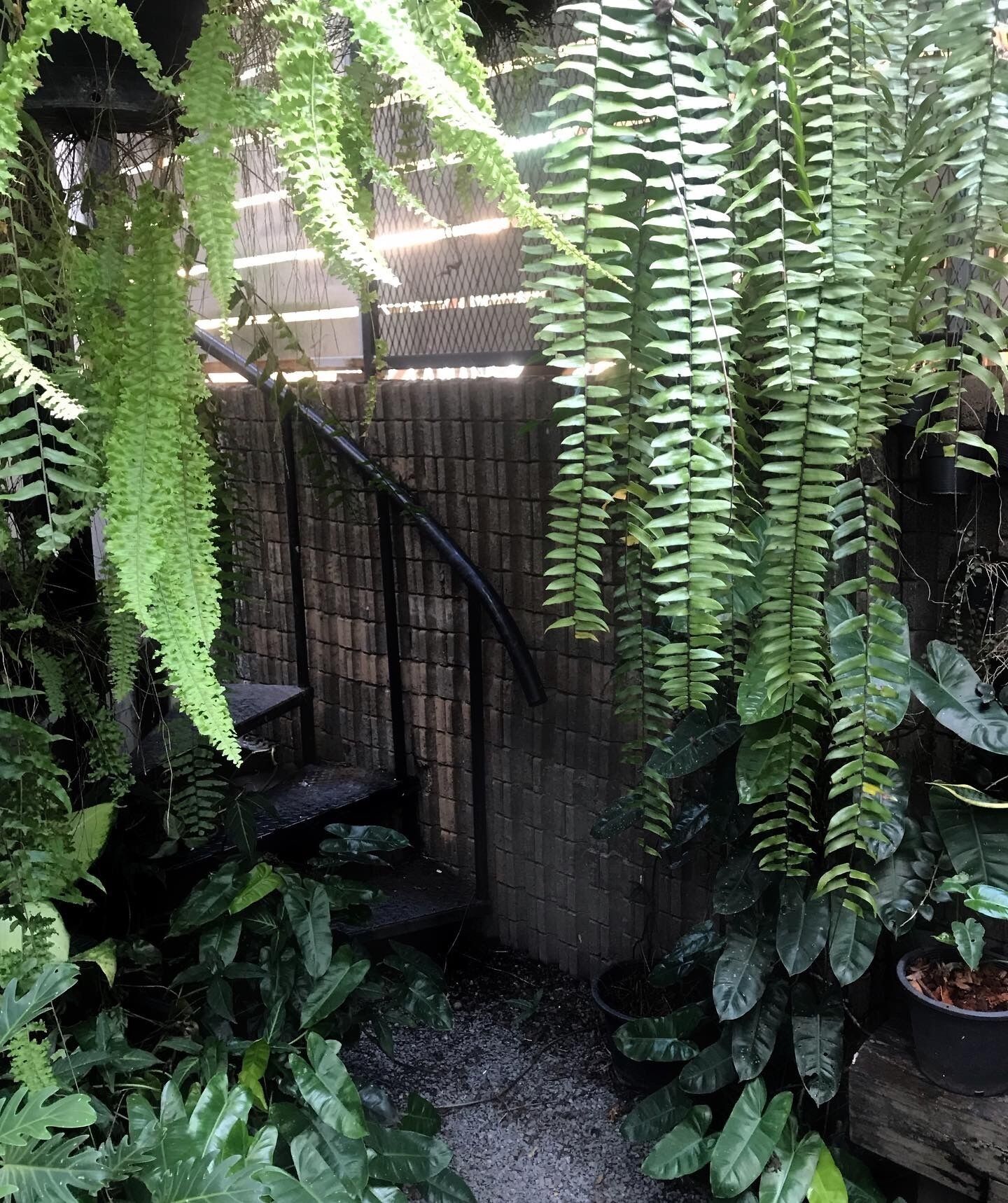 Photo - La Malila Hostel