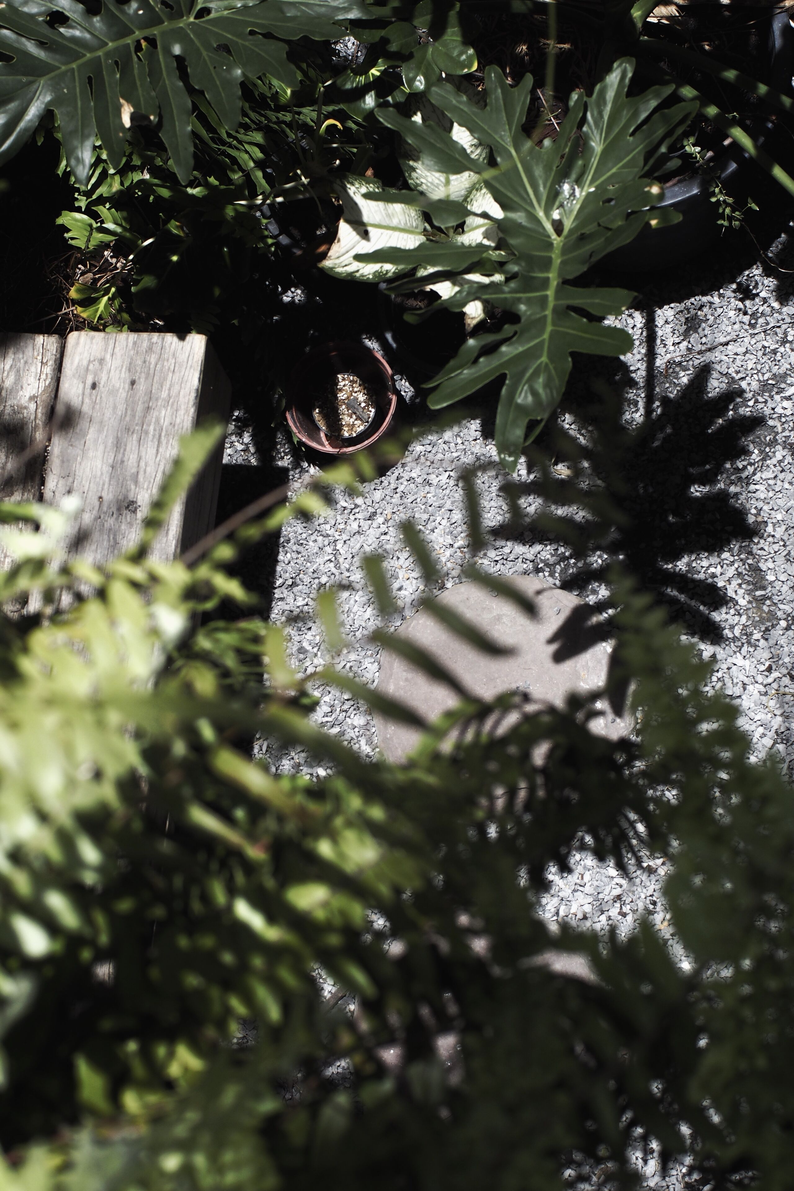 Photo - La Malila Hostel