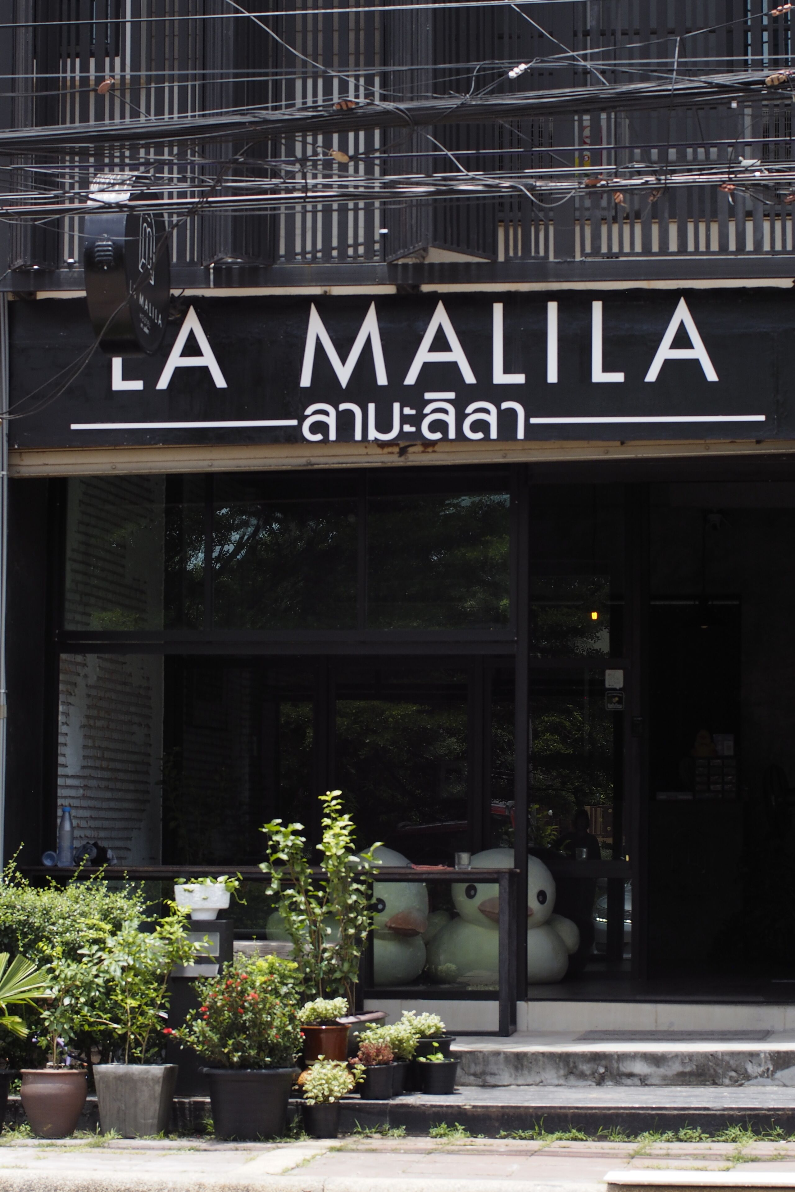 Photo - La Malila Hostel