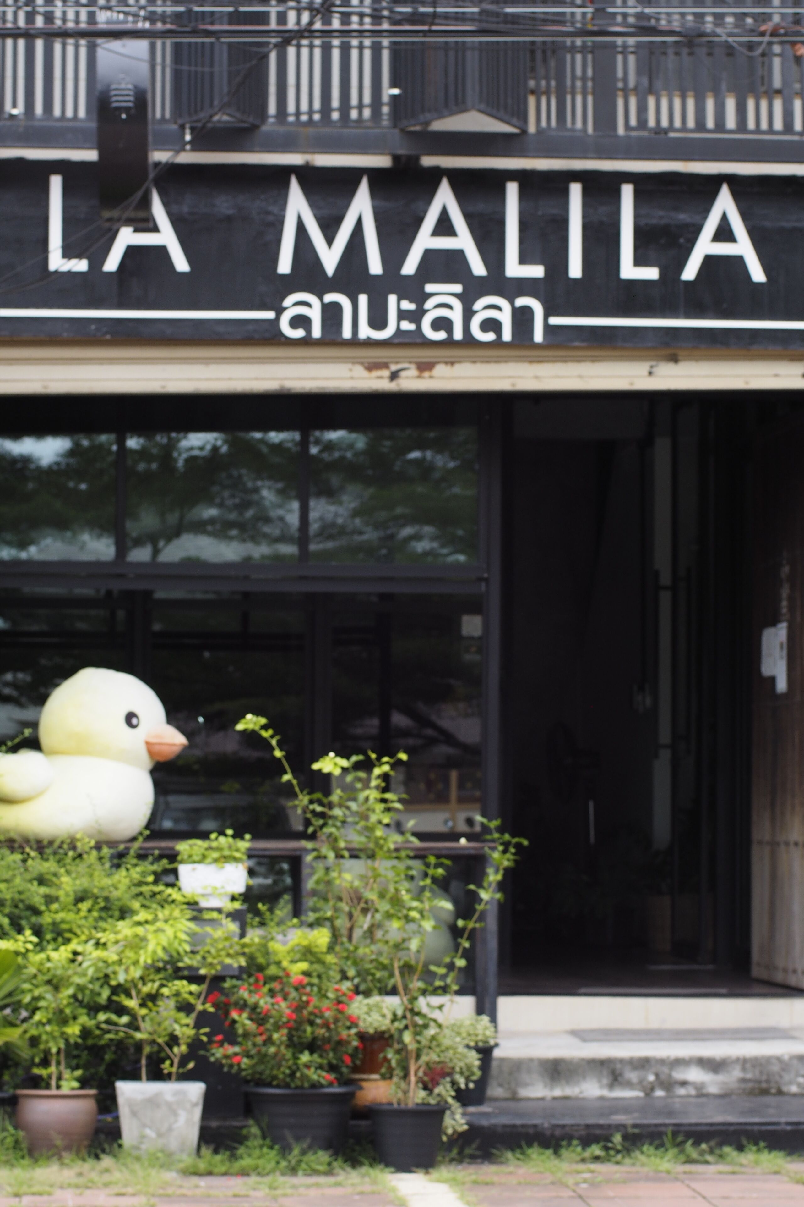 Photo - La Malila Hostel