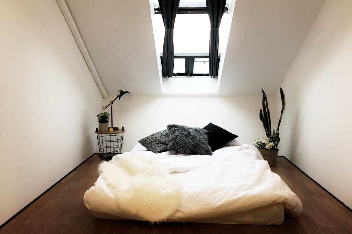 Un dormitorio con cama, una mesita de noche con lámpara, ventana con cortinas y una planta en maceta.