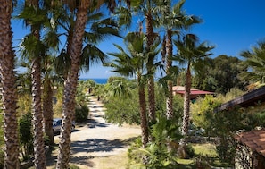 Parco della struttura