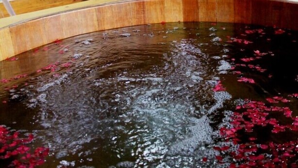 Spa - Refugio do Leao (Camanducaia)