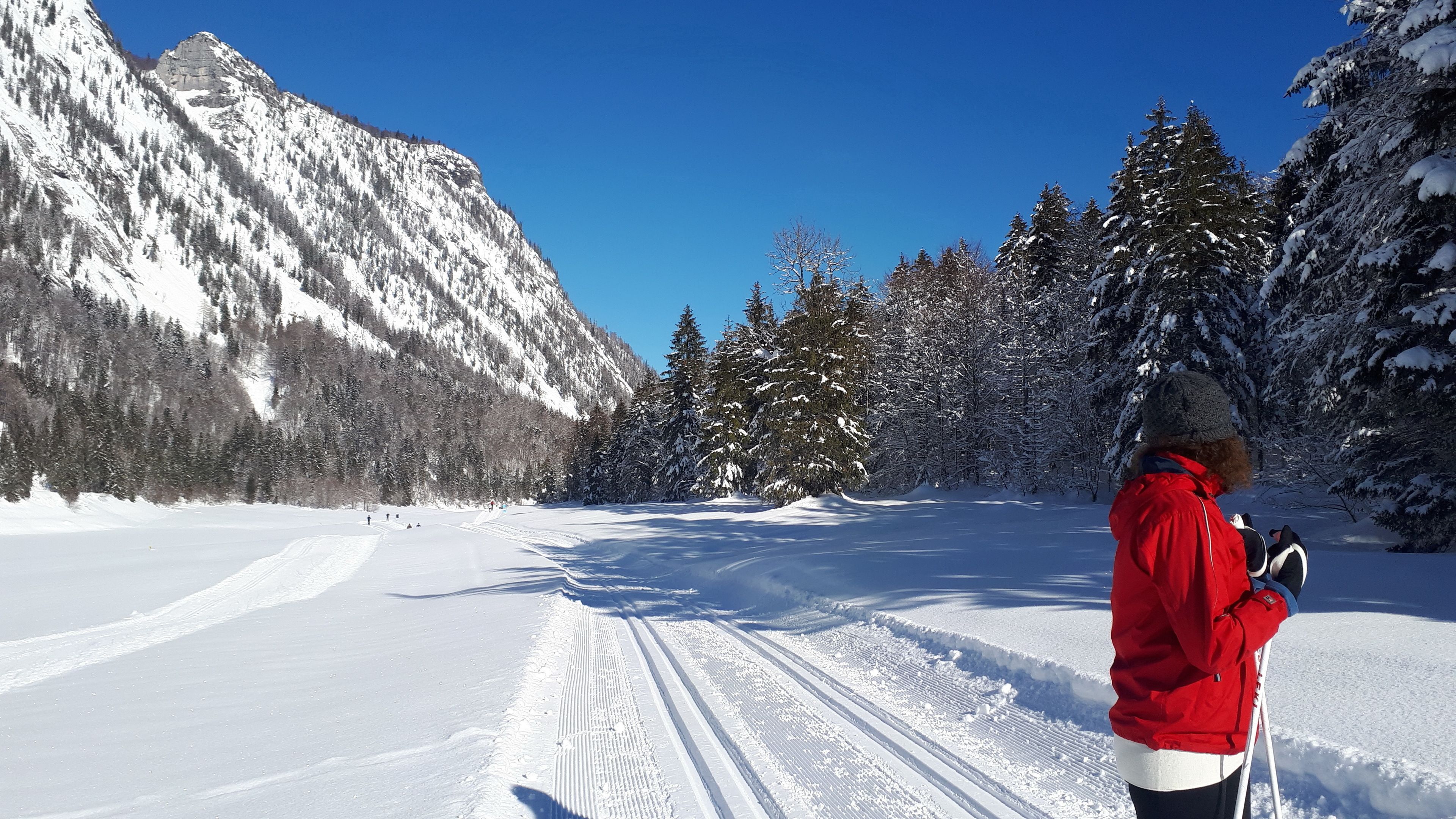 Schneebedeckte Landschaft mit einer Person beim Skifahren.